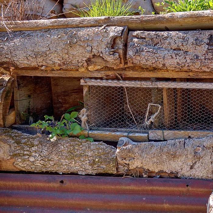 Photo de Ouvrage de Meroux