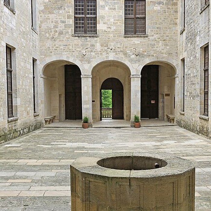 Photo de Château de Duras