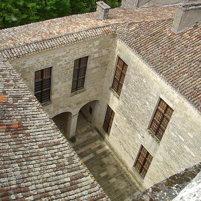 Photo de Château de Duras