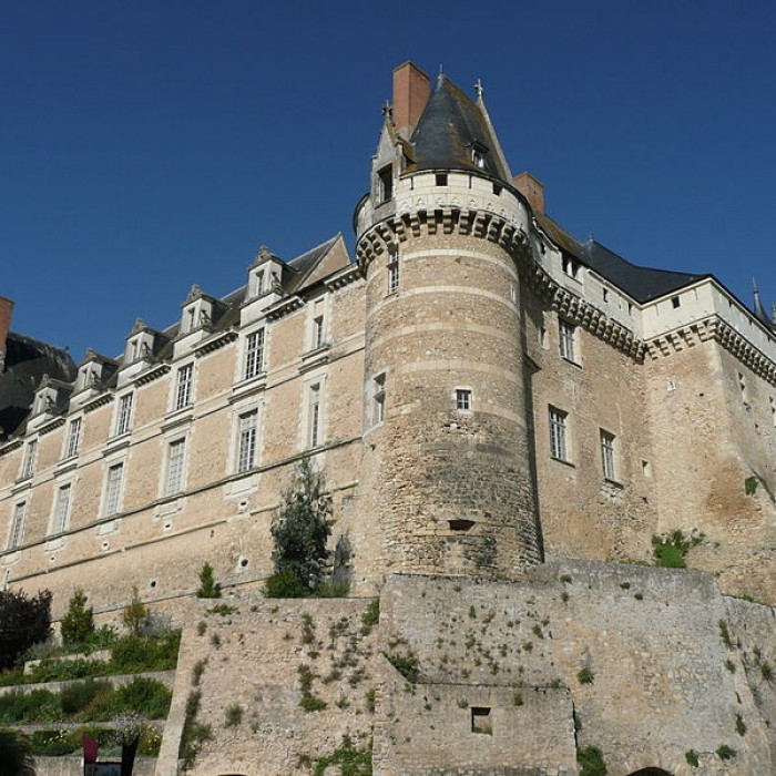 Photo de Château de Durtal