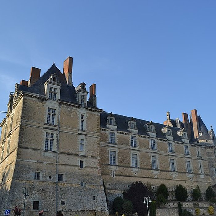 Photo de Château de Durtal