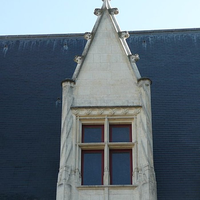 Photo de Château de Durtal