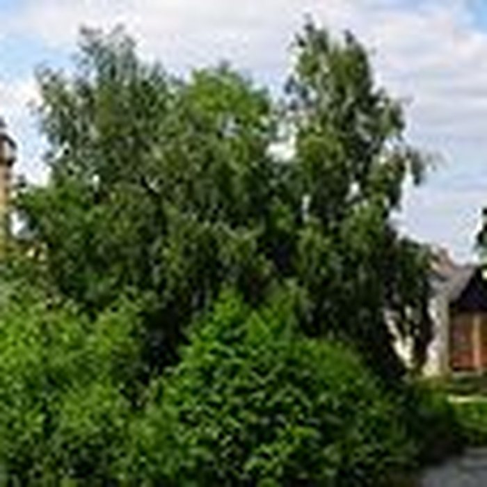 Photo de Château de Durtal