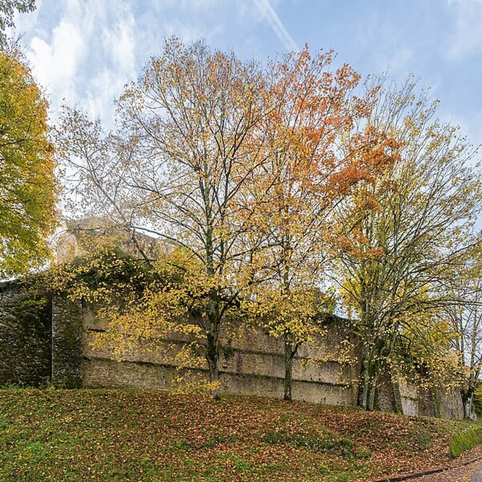 Photo de Palais des comtes de Champagne à Provins