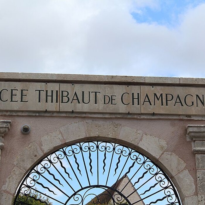 Photo de Palais des comtes de Champagne à Provins