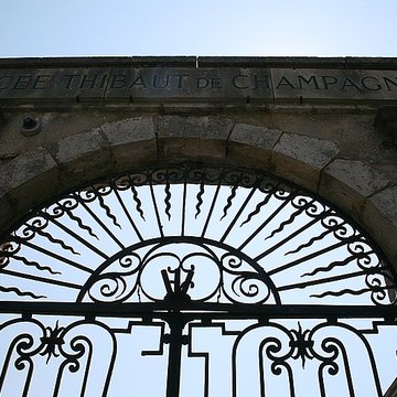 Palais des comtes de Champagne à Provins