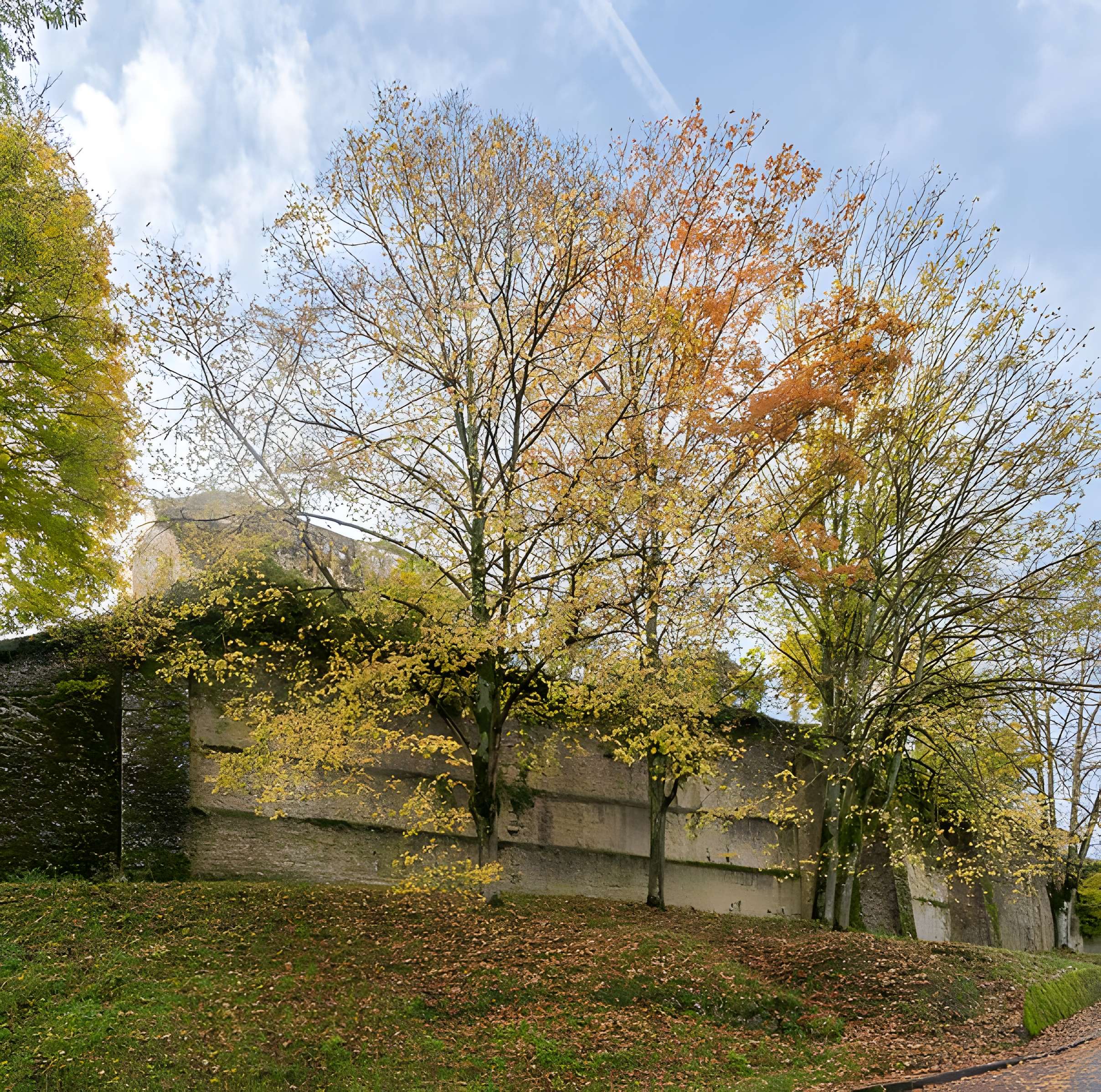 Palais des comtes de Champagne à Provins