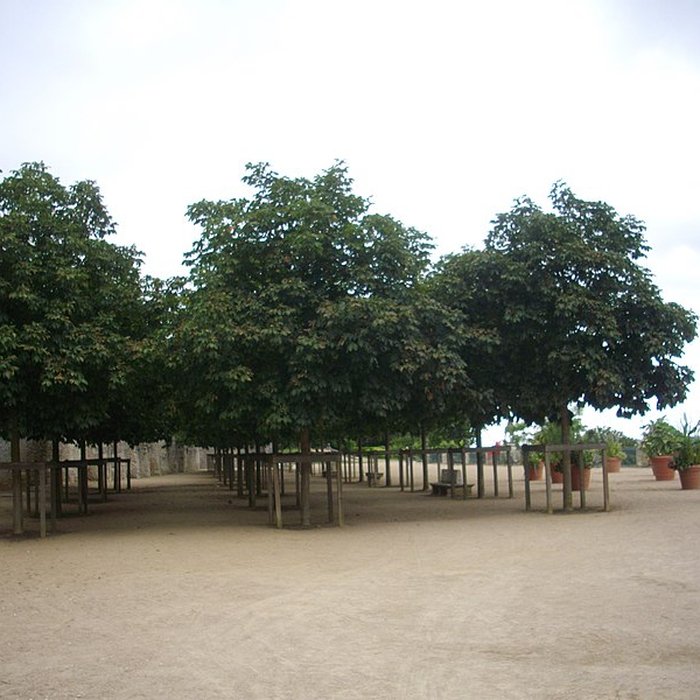 Photo de Palais épiscopal de Blois