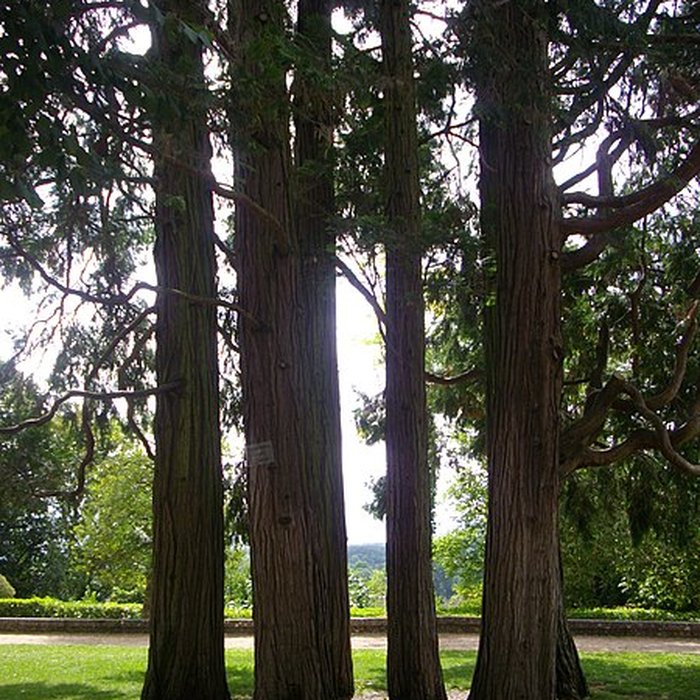 Photo de Palais épiscopal de Blois