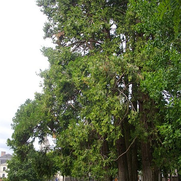 Photo de Palais épiscopal de Blois