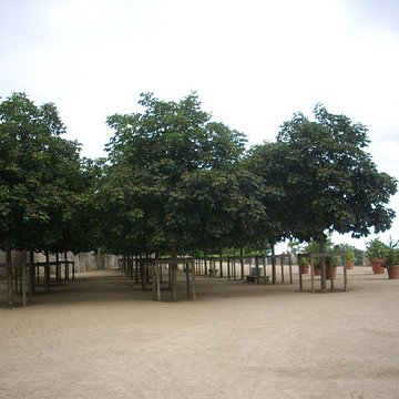 Palais épiscopal de Blois
