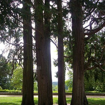 Palais épiscopal de Blois