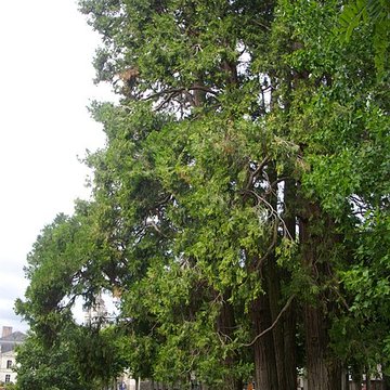 Palais épiscopal de Blois