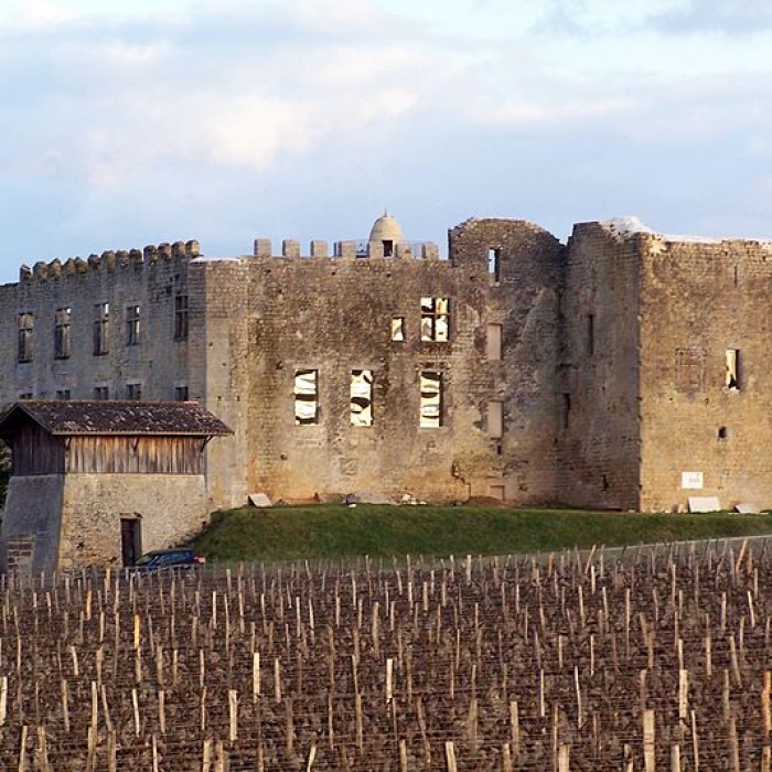 Photo de Château de Fargues
