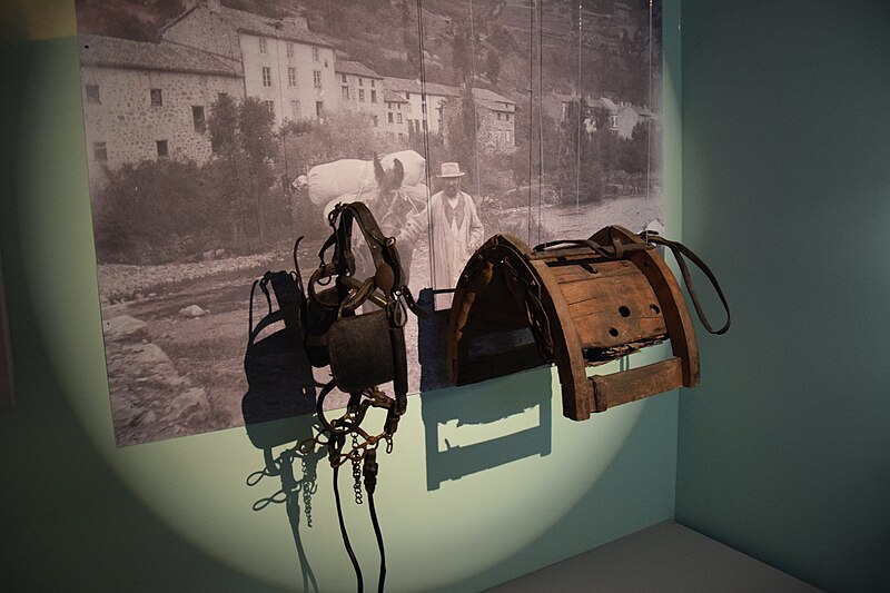 Palais épiscopal de Saint-Flour