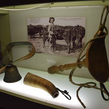 Palais épiscopal de Saint-Flour