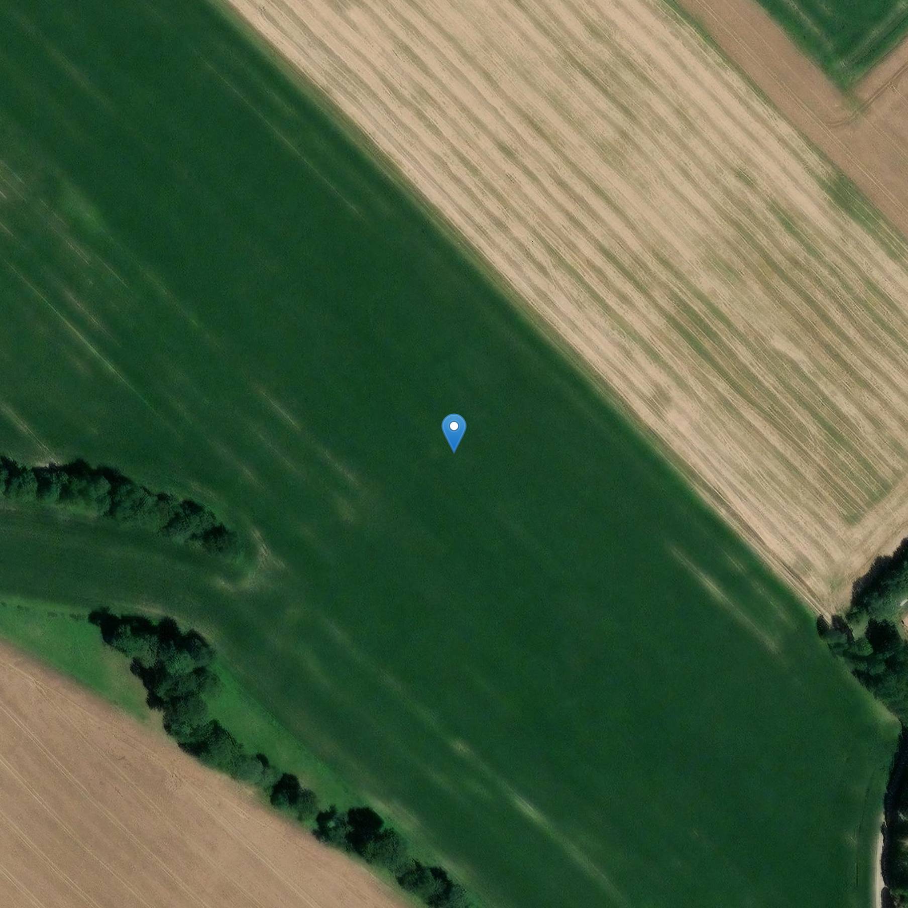 Photo de Parc de Bodelio à Malansac