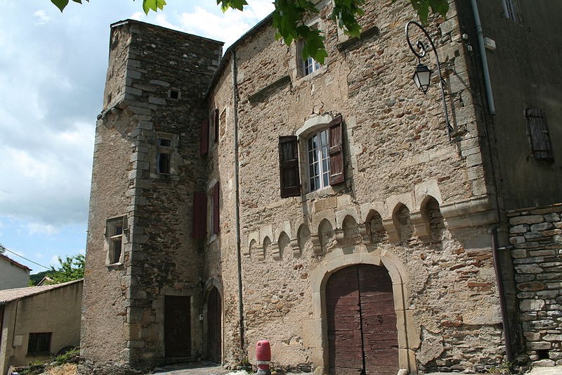 Photo de Château de Fayet dans l'Aveyron