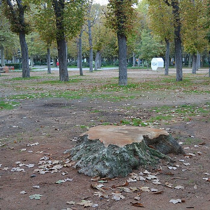 Photo de Parc des Sources à Vichy