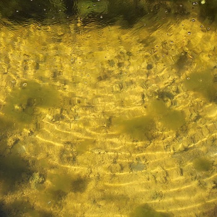 Photo de Parc Jacques-Boussard de Lardy