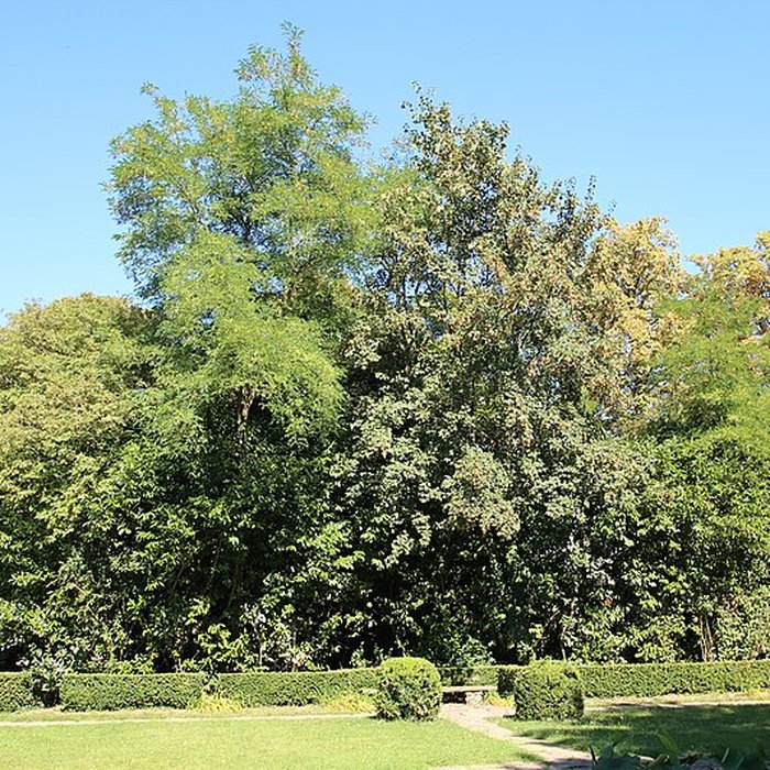 Photo de Parc Jacques-Boussard de Lardy