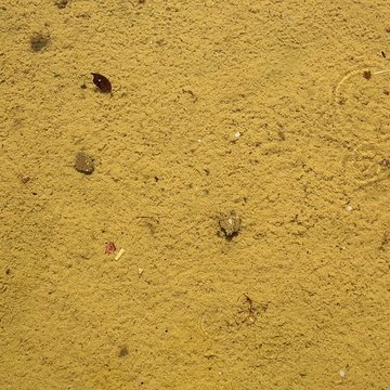 Parc Jacques-Boussard de Lardy