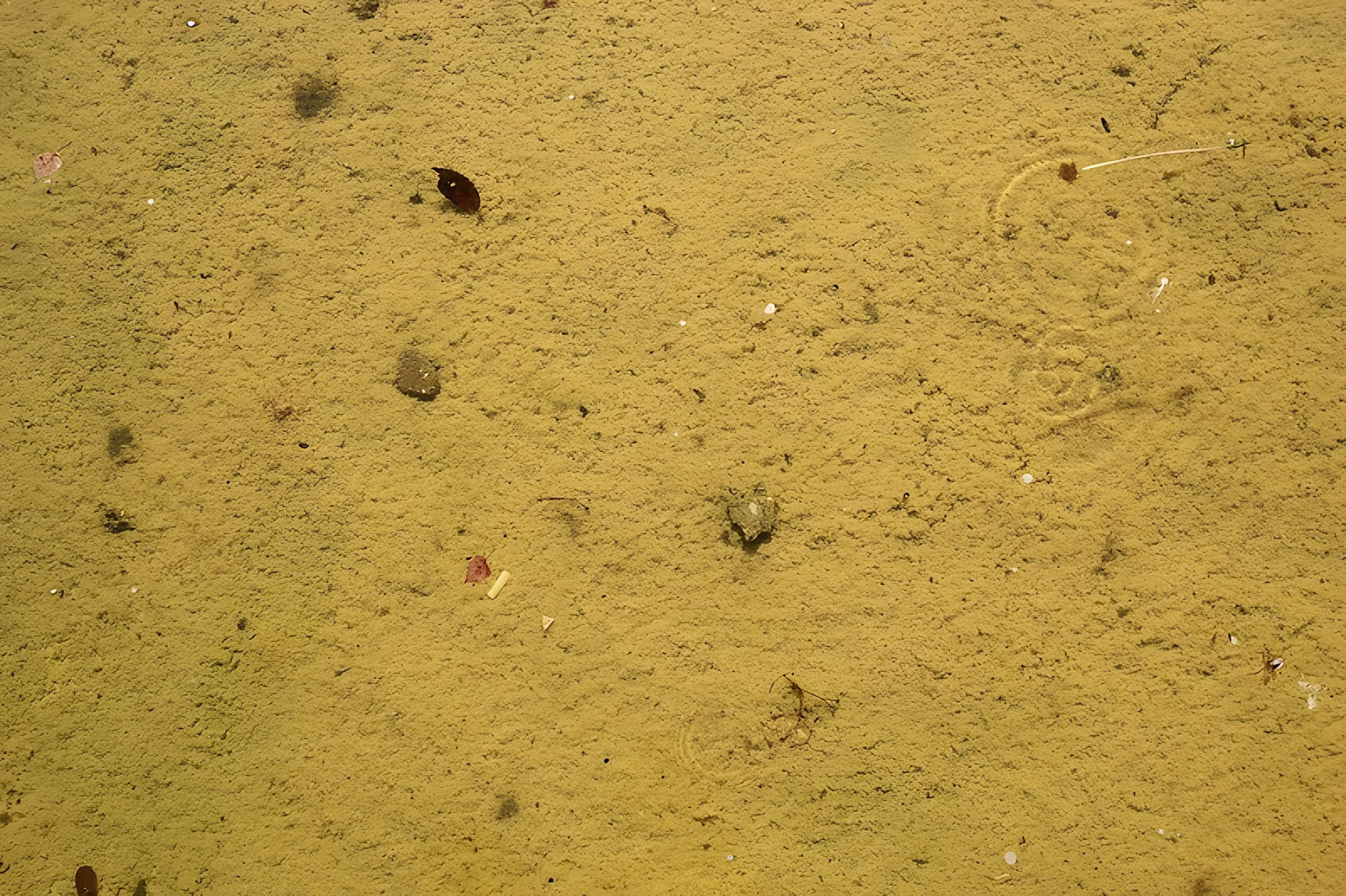 Parc Jacques-Boussard de Lardy