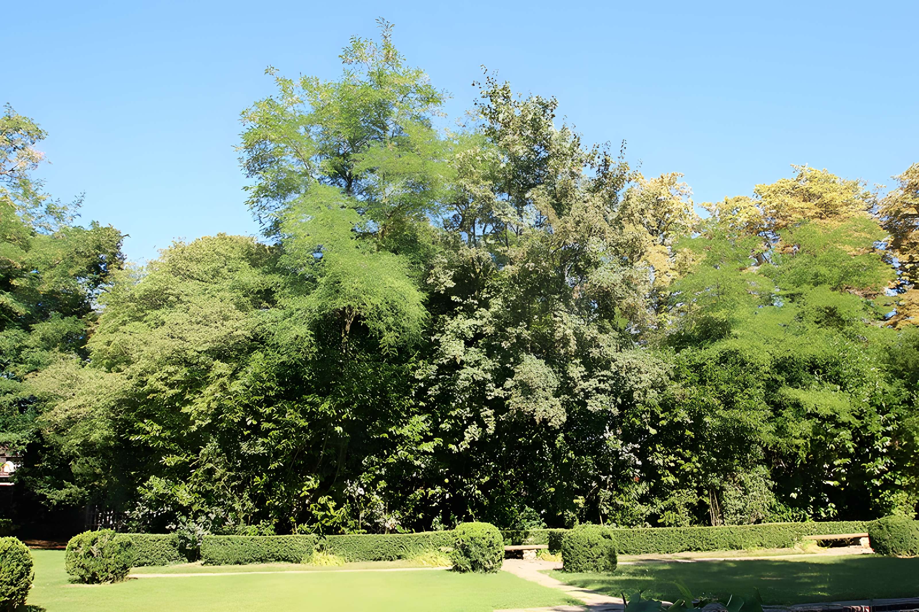 Parc Jacques-Boussard de Lardy