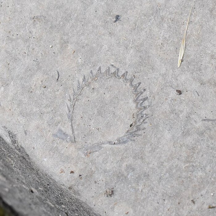 Photo de Parvis et escaliers de la cité religieuse de Rocamadour
