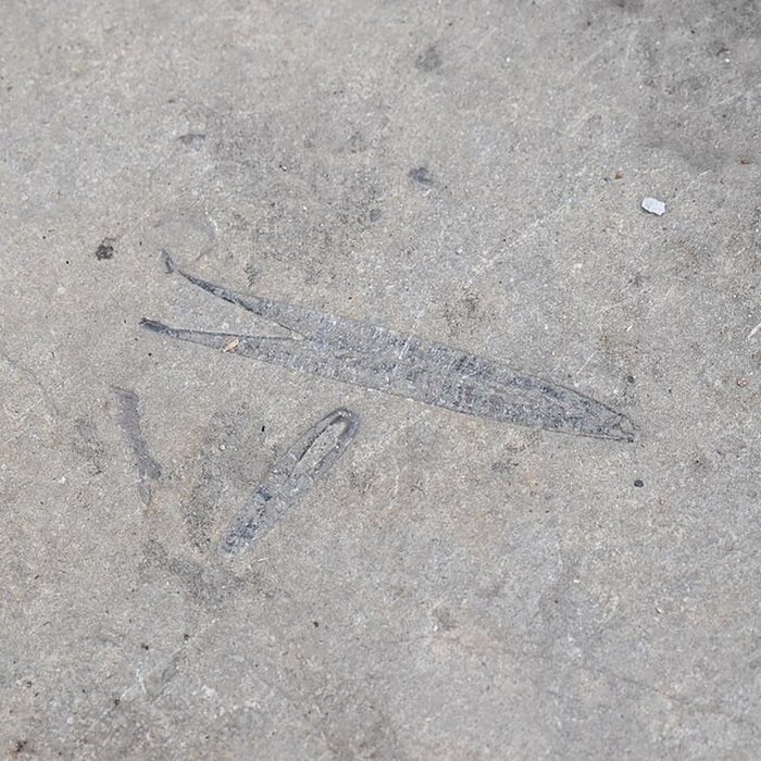 Photo de Parvis et escaliers de la cité religieuse de Rocamadour