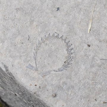 Parvis et escaliers de la cité religieuse de Rocamadour