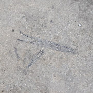 Parvis et escaliers de la cité religieuse de Rocamadour