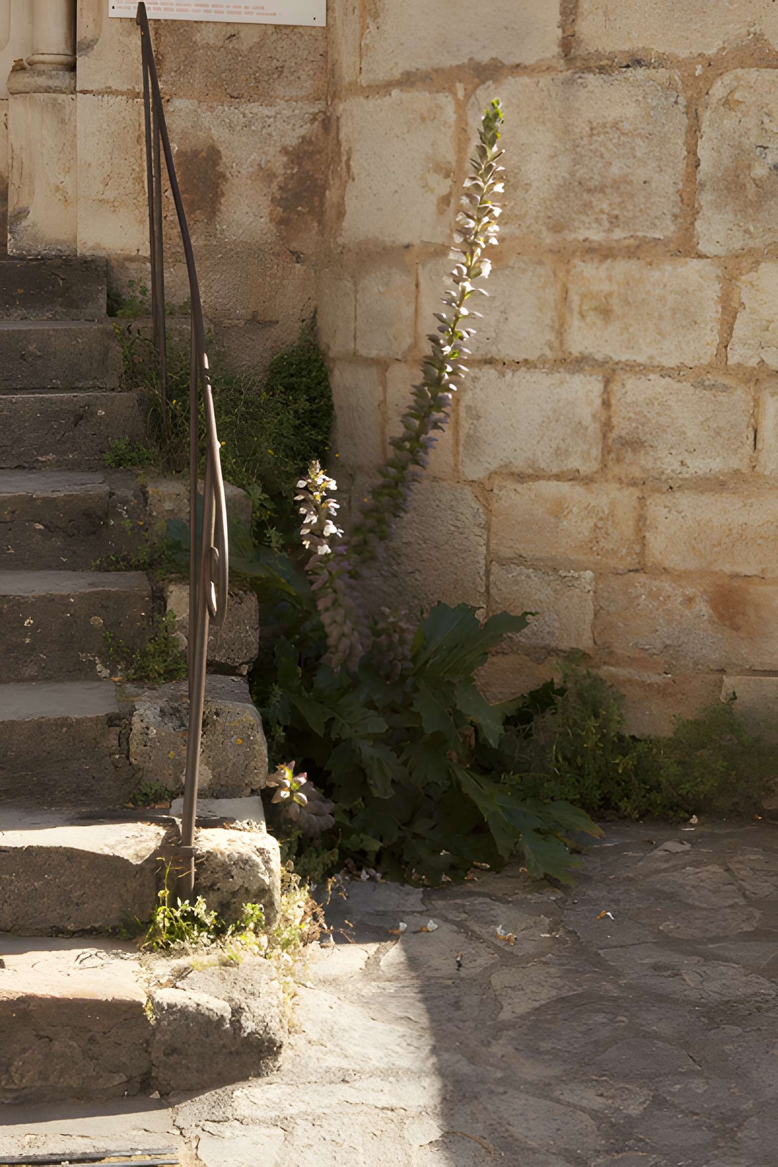 Parvis et escaliers de la cité religieuse de Rocamadour