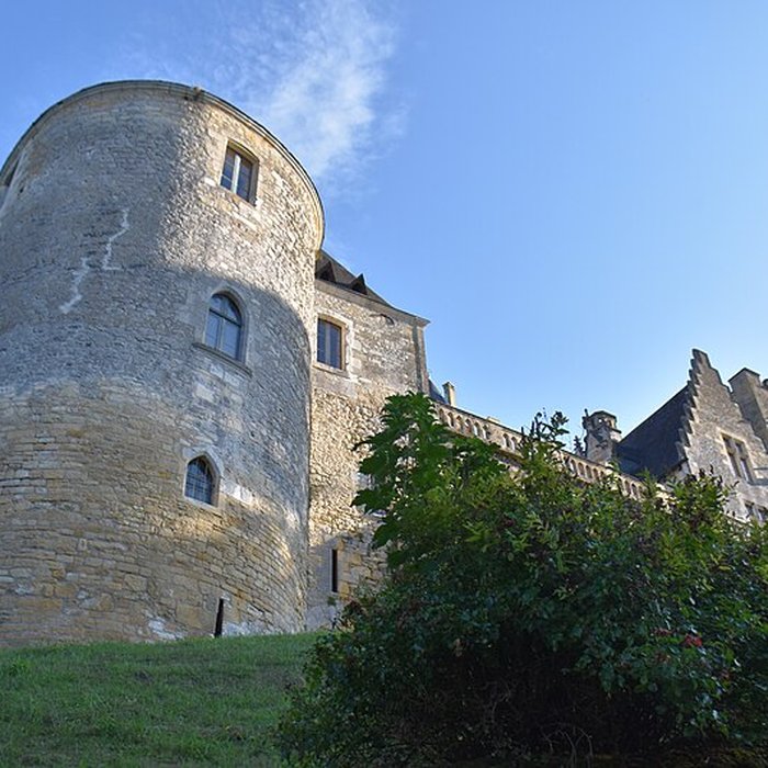 Photo de Château de Fayrac