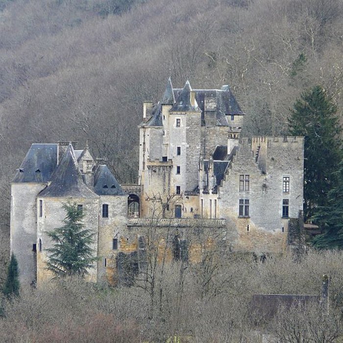 Photo de Château de Fayrac