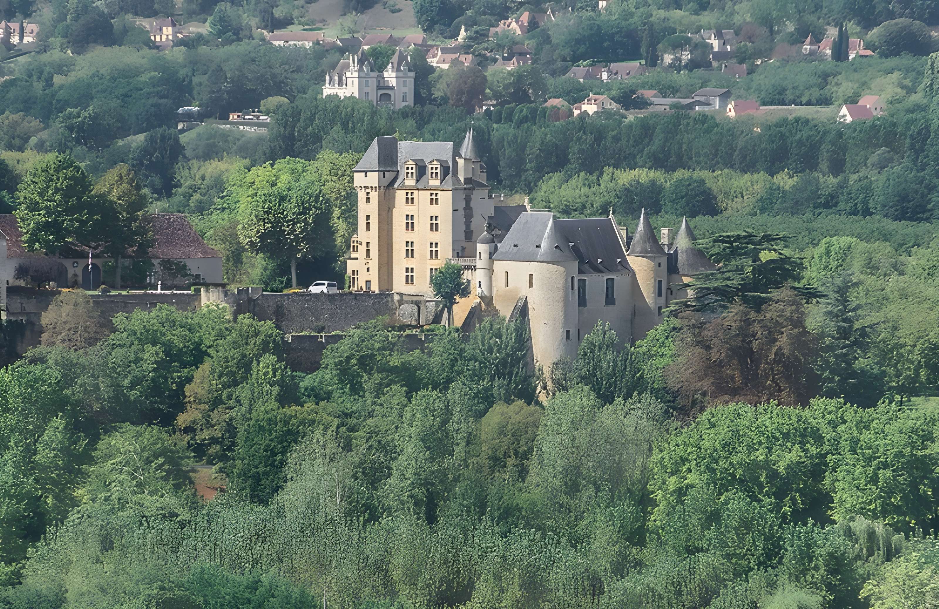 Château de Fayrac