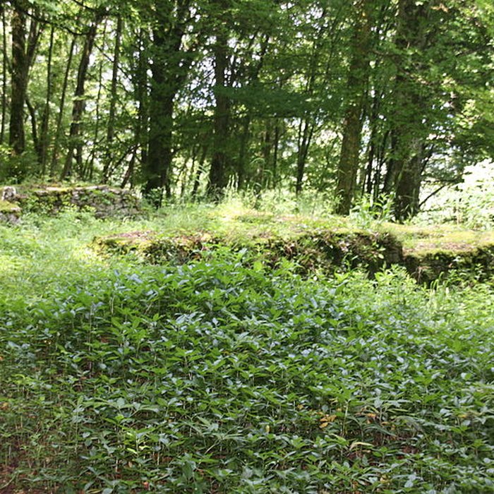 Photo de Petit temple antique de Pupillin