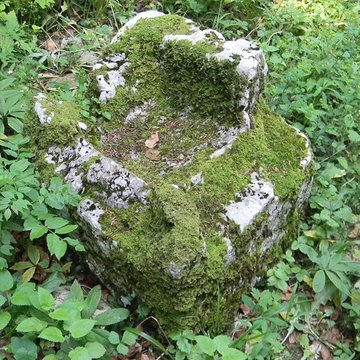 Petit temple antique de Pupillin