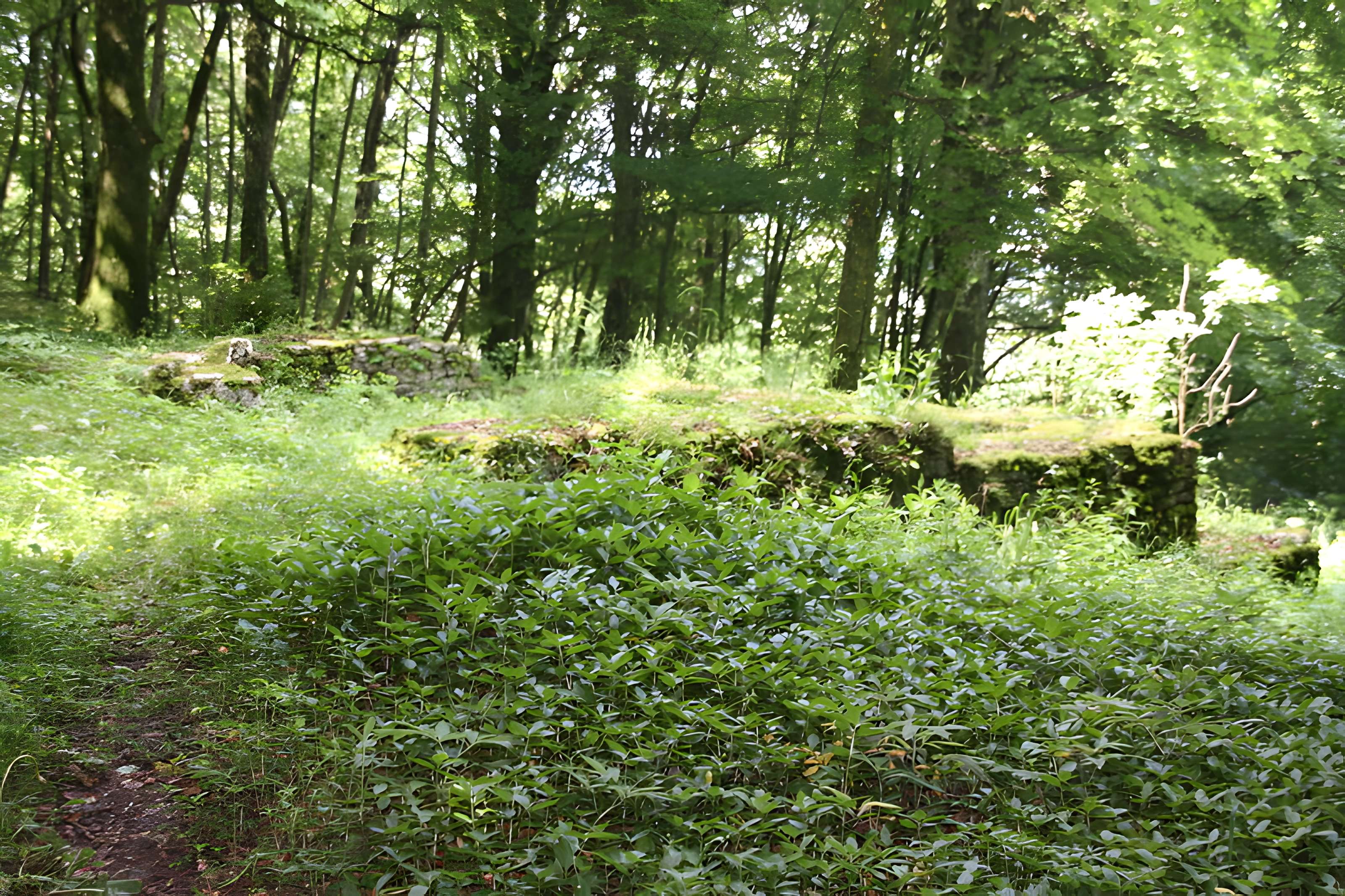 Petit temple antique de Pupillin