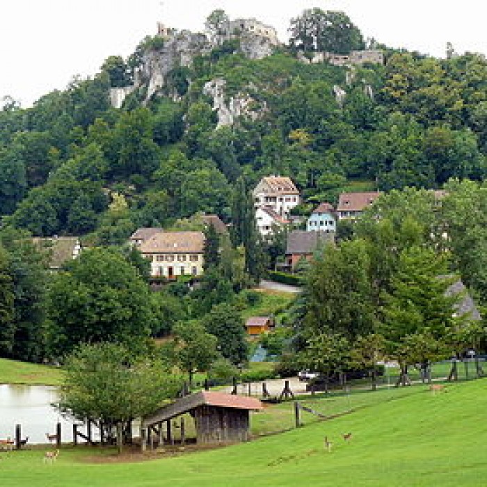 Photo de Château de Ferrette