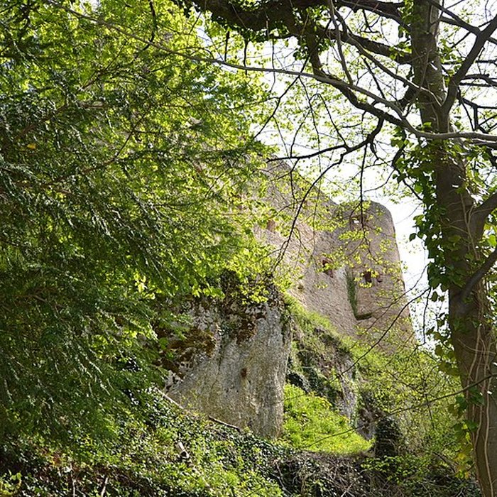 Photo de Château de Ferrette