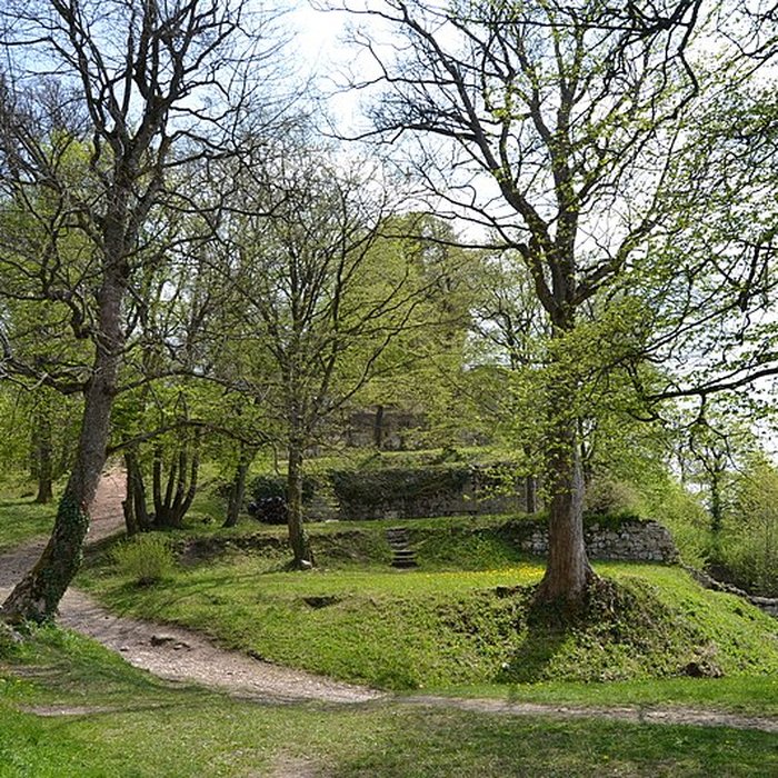 Photo de Château de Ferrette
