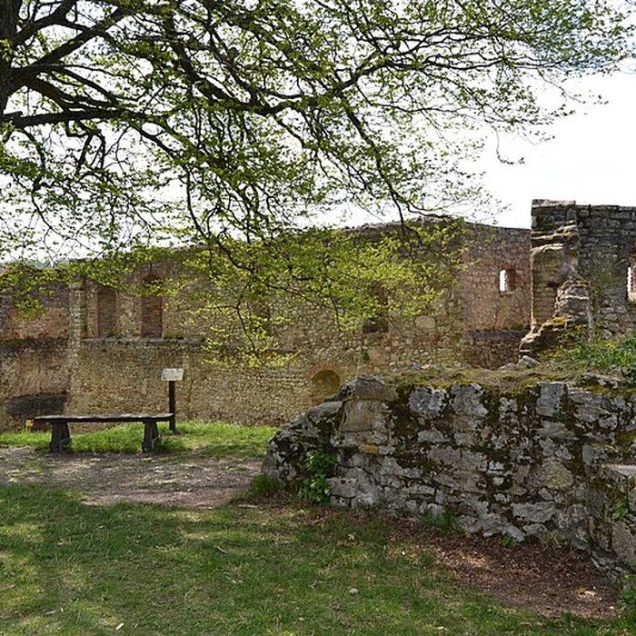 Photo de Château de Ferrette