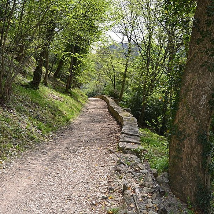 Photo de Château de Ferrette