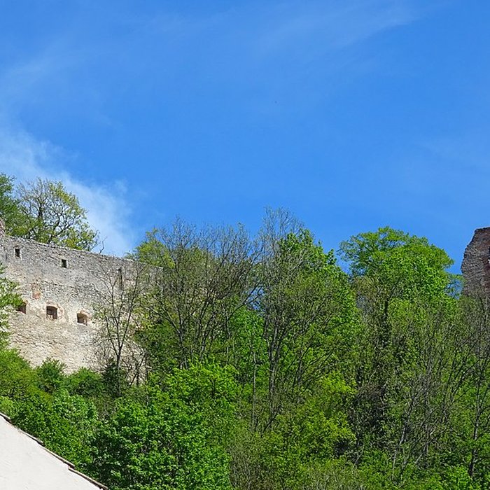 Photo de Château de Ferrette