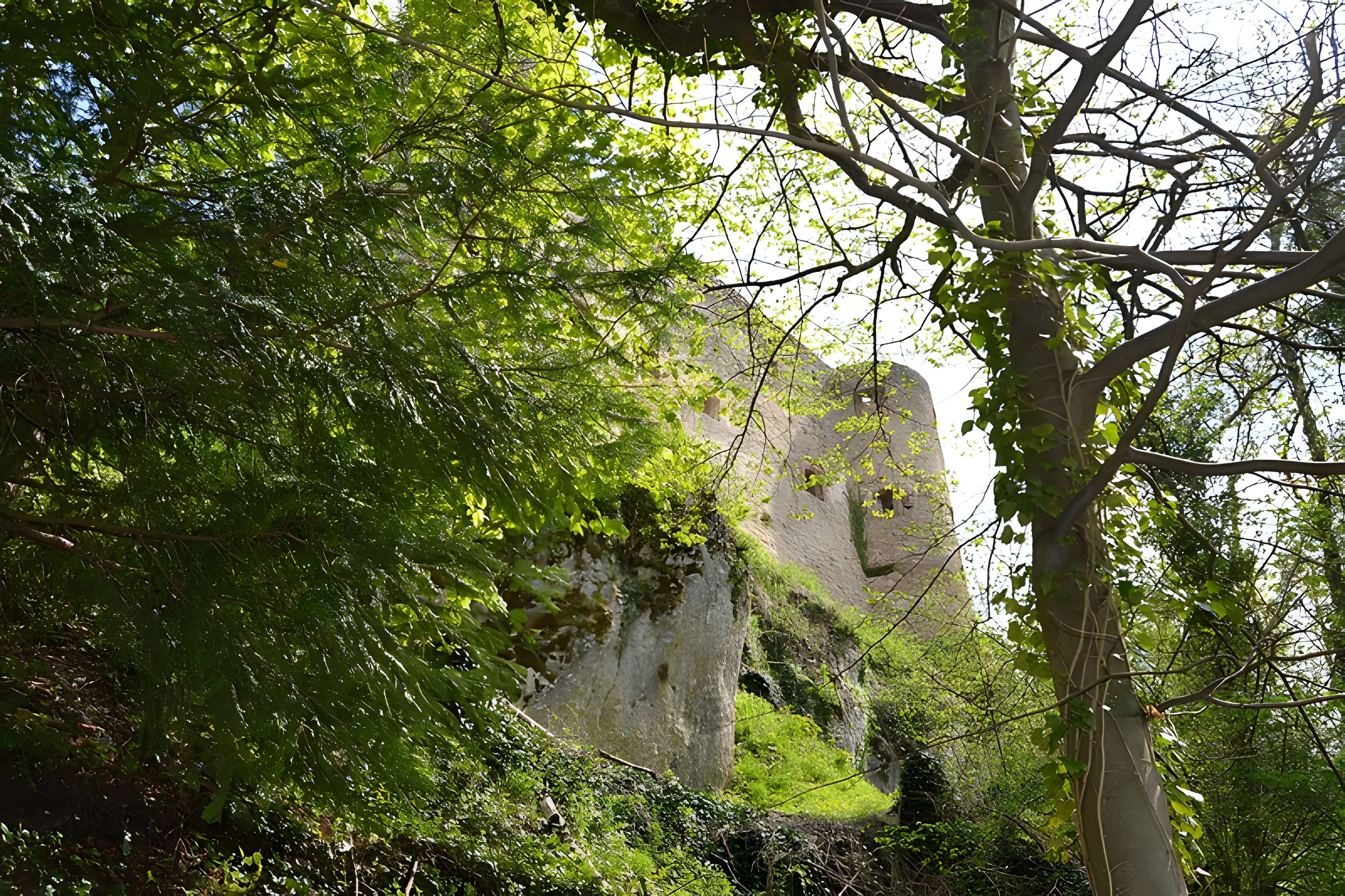 Château de Ferrette