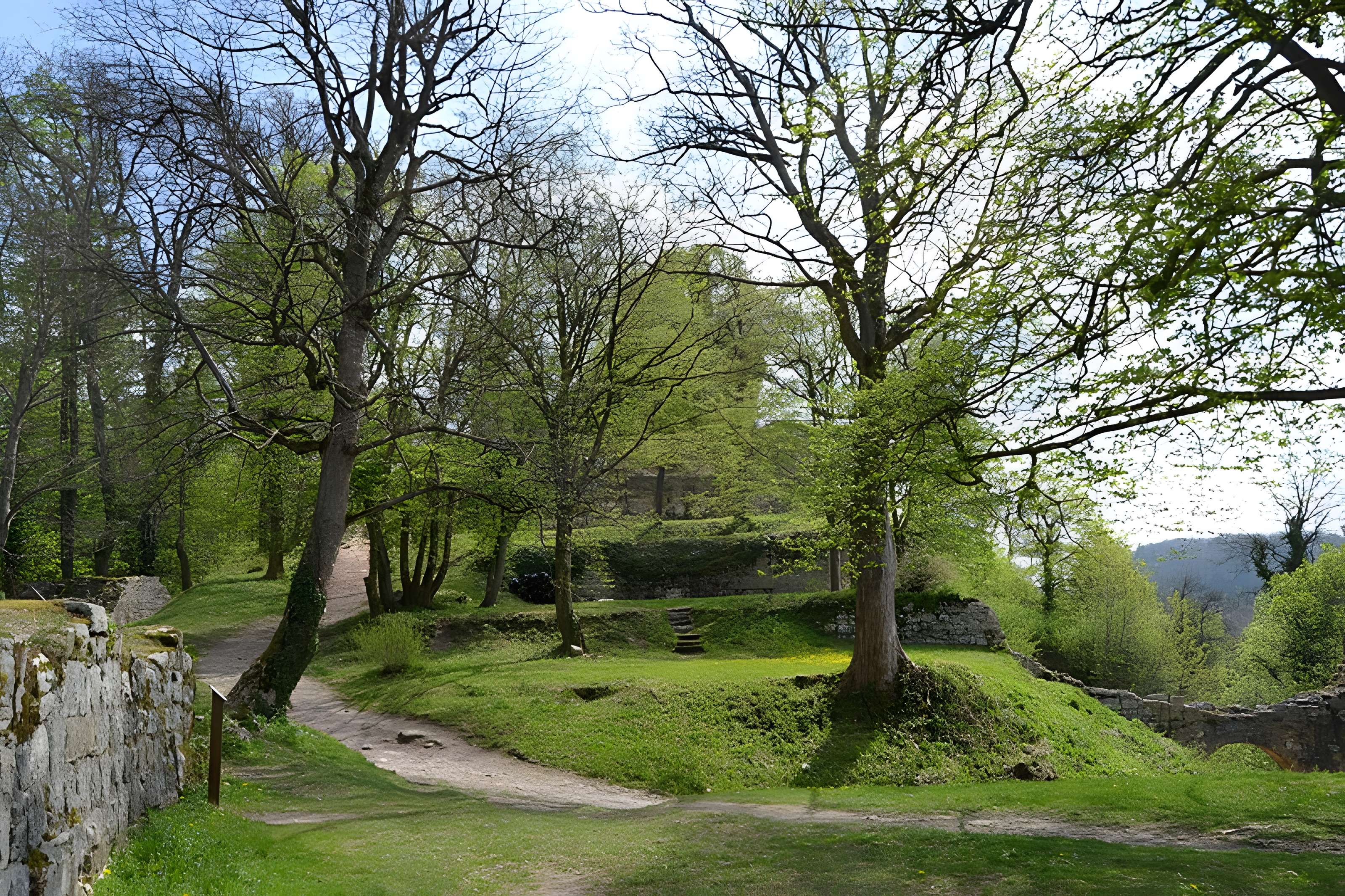 Château de Ferrette