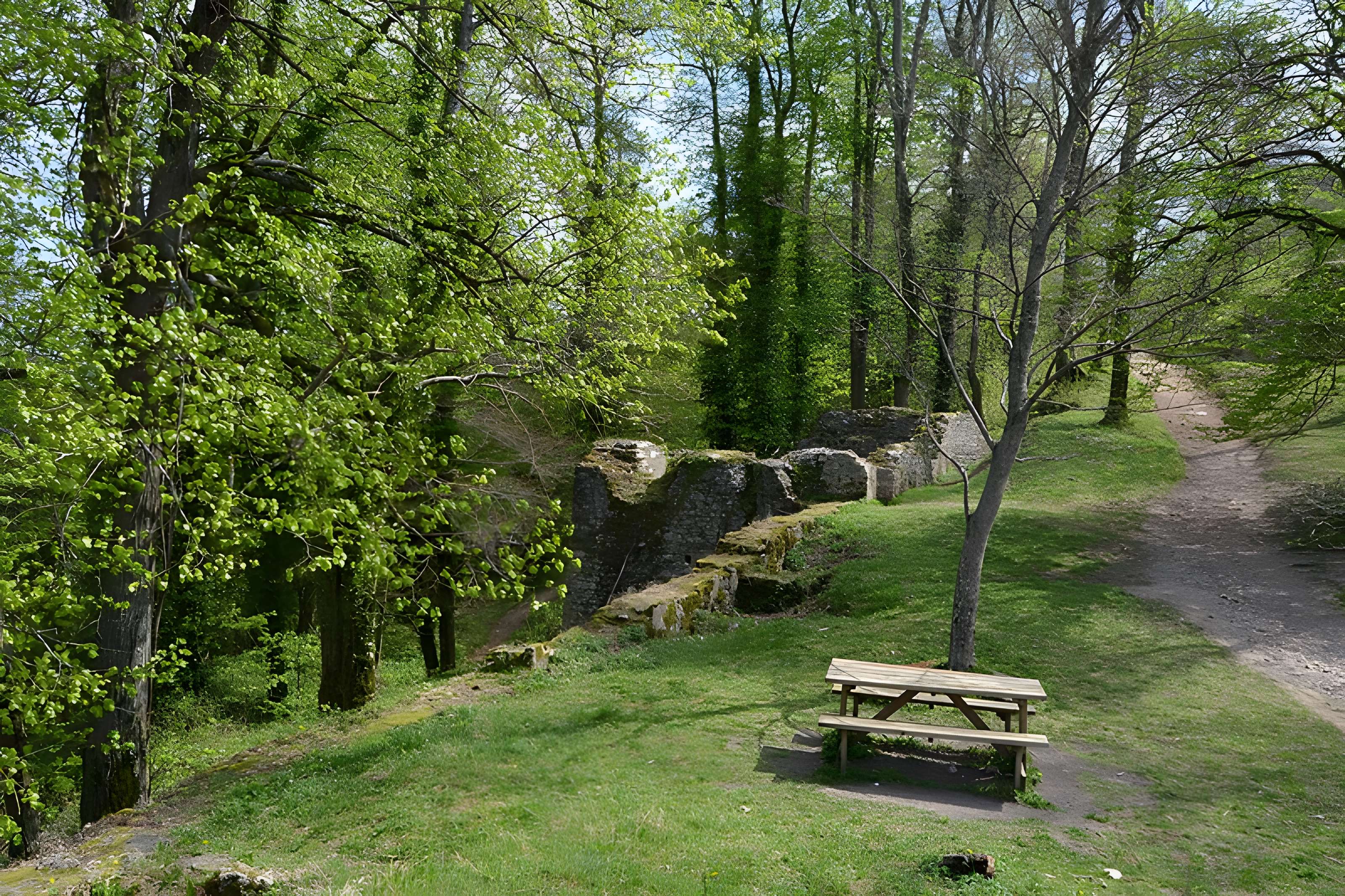 Château de Ferrette