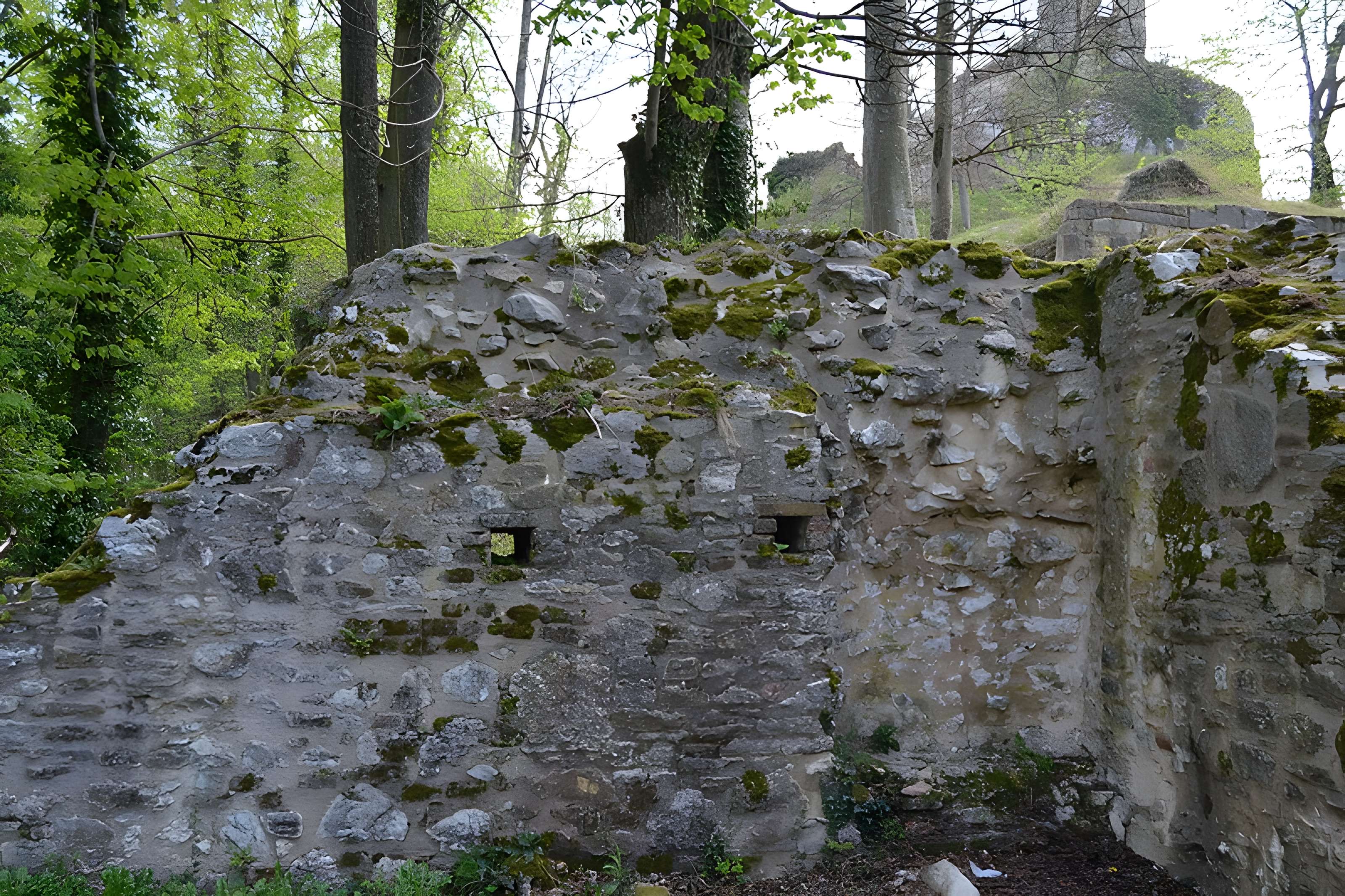Château de Ferrette