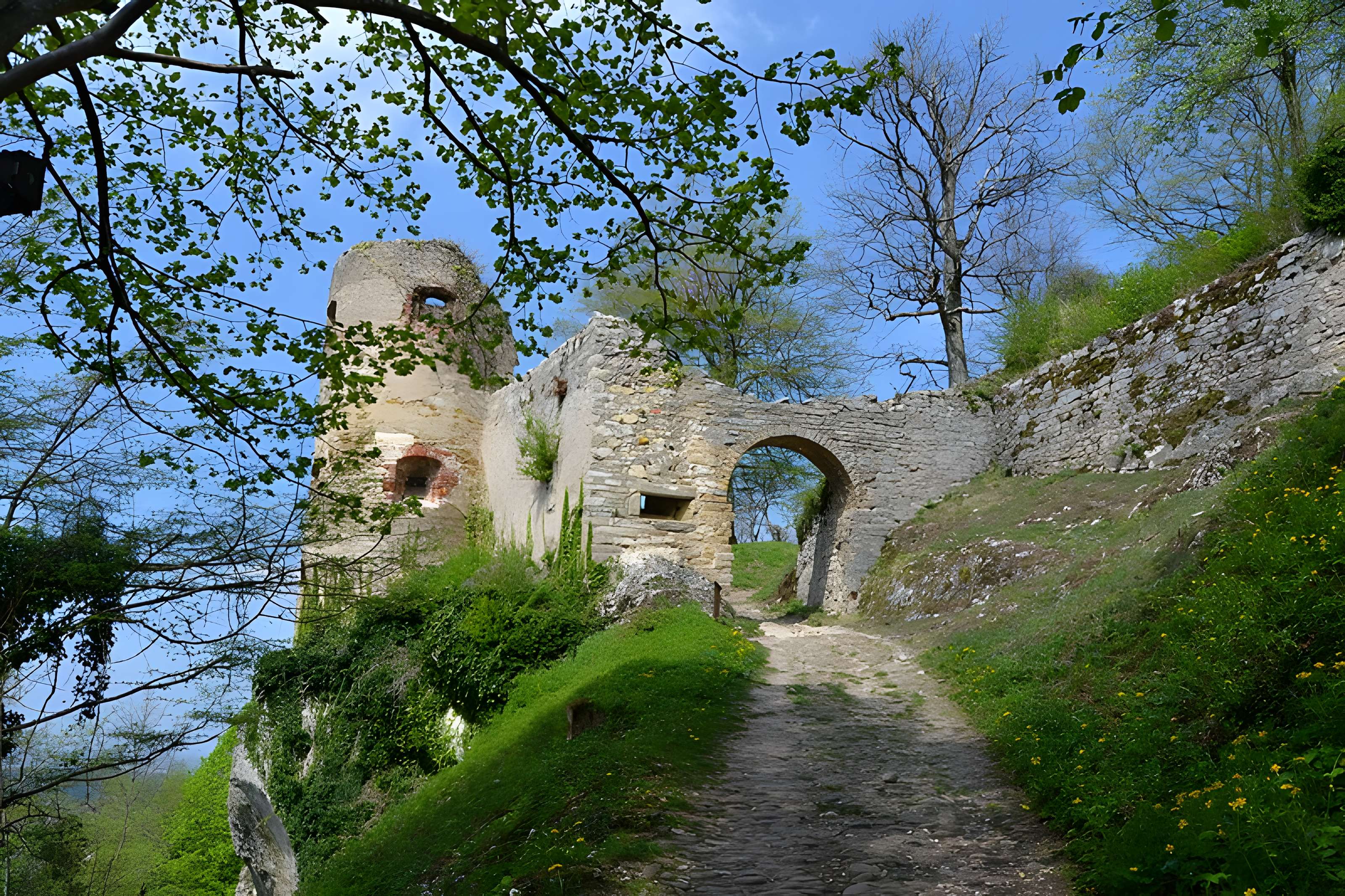 Château de Ferrette